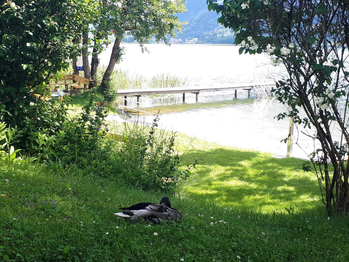 Anna Seeblick Appartement, Haus Haensel&Gretel Am Ossiachersee Mit Direktem Seezugang, Hallenbad Bodensdorf Eksteriør bilde